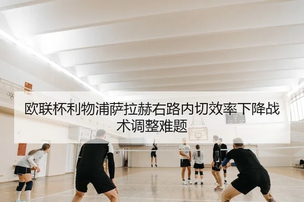ou-lian-bei-li-wu-pu-sa-la-he-you-lu-nei-qie-xiao-lv-xia-jiang-zhan-shu-tiao-zheng-nan-ti-2-349.jpg